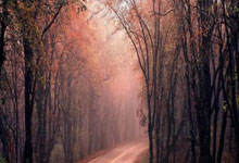 欢乐棋牌真的能带来纯粹的欢乐吗?