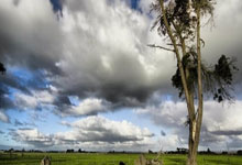 RB莱比锡对阵皇马，这场欧冠对决的比分会如何？