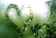 中超2020赛程表第二阶段有哪些关键信息?